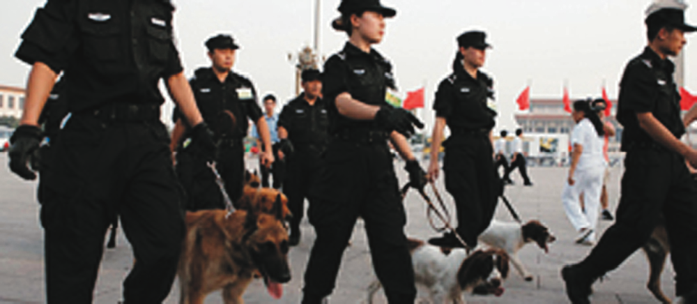 KOKKAI SECURITY