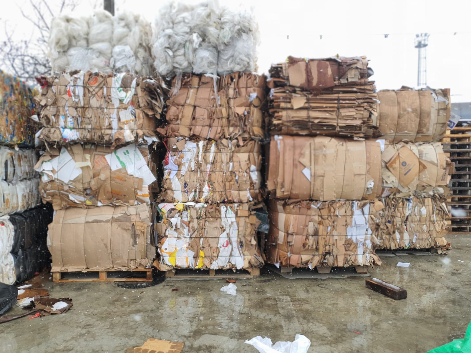 reciclare hartie si carton