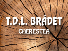 T.D.L. BRĂDET S.R.L. logo