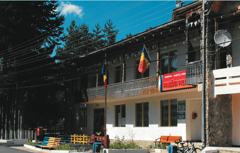 PRIMĂRIA PALTIN